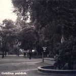 Parc Gradina Publica Gradina Mare Braila